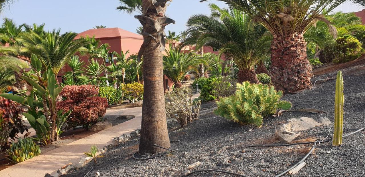 Апартаменты Tamarindo I Piscinas De Agua Salada Коральео Экстерьер фото